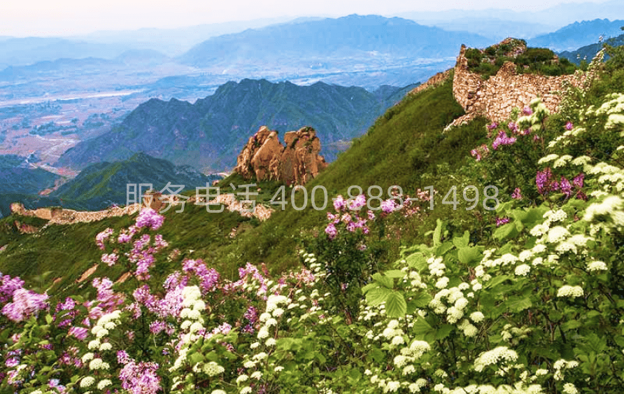 八达岭陵园环境图02