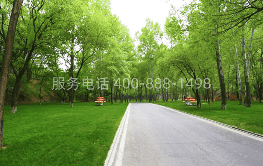 八达岭陵园环境图08